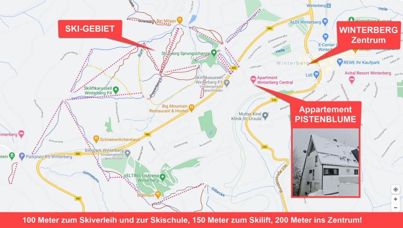 Pistenblume Apartment - Skipiste, Stadtzentrum Winterberg Extérieur photo